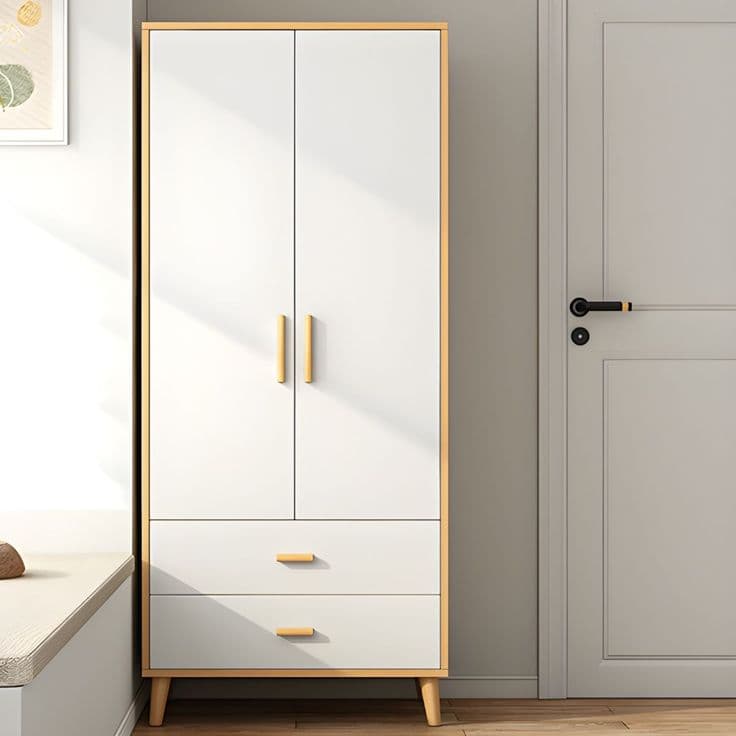 Modern Minimalist Two-Door Wardrobe